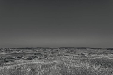 Landscapes, Forest, Carpathians, Photos of nature -Black and white photos, monochrome photos - Europe, Eastern Europe