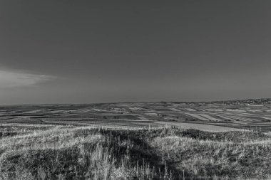 Arkasında bir dağ ve bir ağaç olan güzel bir manzara.