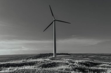 Rüzgar Enerji Jeneratör