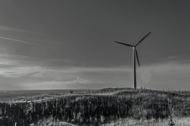 windmill in a field with black and white