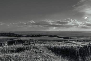 Ağaçlarla dolu bir tarlası ve bulutlu bir gökyüzü olan güzel bir manzara.
