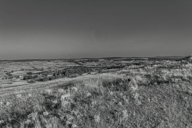 a vertical grayscale shot of a rural landscape under a cloudy sky in the countryside