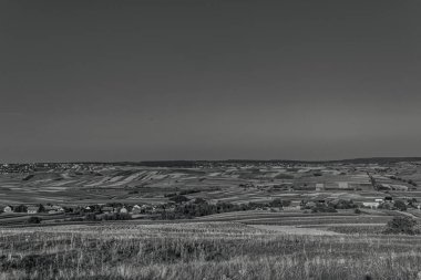 Buğday tarlası ve bulutlu gökyüzü olan güzel bir manzara.