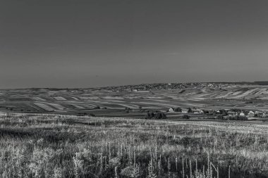 Güzel manzara. doğa arkaplanı