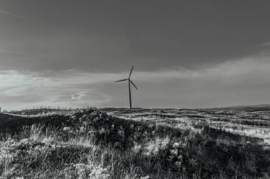 wind turbine in the countryside in black and white
