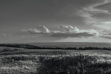 a beautiful landscape with a field of wheat in the countryside in pennsylvania