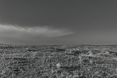 a grayscale shot of a field with a cloudy sky