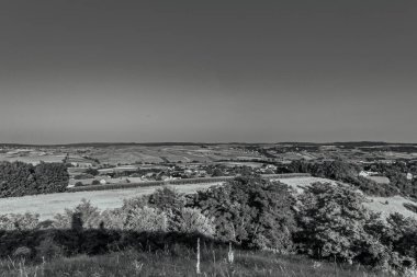 a beautiful shot of a field of trees and grass