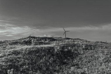 wind turbines in black and white