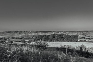 a grayscale shot of a field and trees on a cloudy day