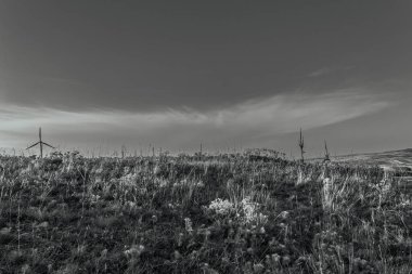 Dağlarda rüzgar türbinleri