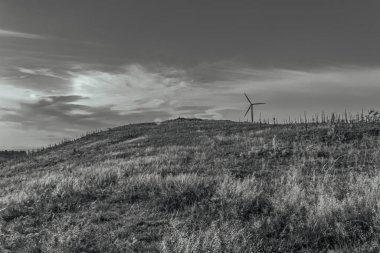 Rüzgar türbini alanda, yenilenebilir enerji