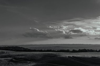 Buğday tarlası ve bulutlu gökyüzü olan güzel bir manzara.