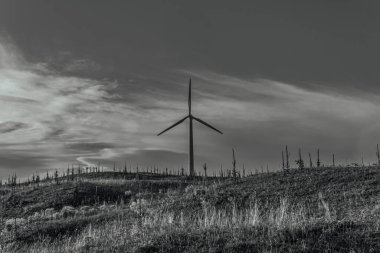 wind turbines on the hill in the mountains. black and white photo.