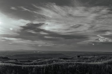 Landscapes, Forest, Carpathians, Photos of nature -Black and white photos, monochrome photos - Europe, Eastern Europe