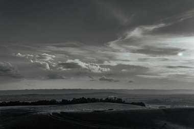 beautiful scenery with trees in black and white colors in italy