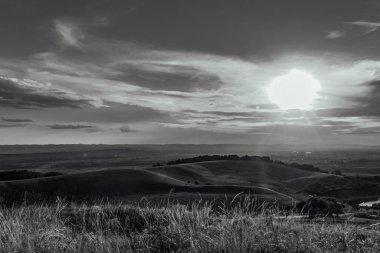 Landscapes, Forest, Carpathians, Photos of nature -Black and white photos, monochrome photos - Europe, Eastern Europe