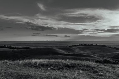 Ağaçlarla kaplı güzel bir manzara.