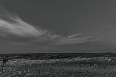 Landscapes, Forest, Carpathians, Photos of nature -Black and white photos, monochrome photos - Europe, Eastern Europe