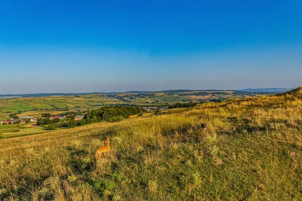 Köyün güzel manzarası