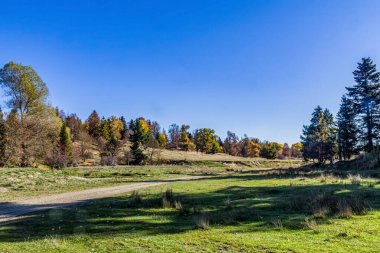 Renkli ağaçlarla, ormanlarla ve dağlarla dolu güzel sonbahar manzarası.