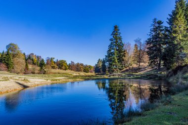 sonbahar yatay, bir nehir ve orman