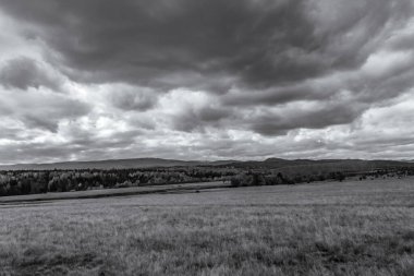 Landscapes, Forest, Carpathians, Photos of nature -Black and white photos, monochrome photos - Europe, Eastern Europe