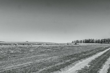 bir tarlanın ve bir ağacın siyah beyaz fotoğrafı