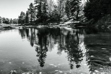 Ormandaki siyah beyaz nehir