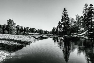 Ağaçlarla çevrili küçük bir nehir.