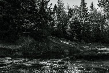 siyah ve beyaz manzara. siyah ve beyaz