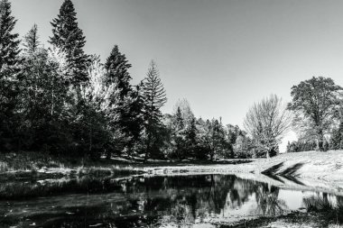 Siyah beyaz güzel bir manzara..