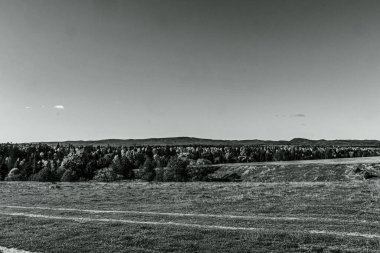 Arkaplanda ağaçların ve tarlaların gri tonlu görüntüsü