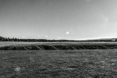 Bulutlu bir gökyüzünün altındaki ağaçlarla çevrili güzel bir tarla görüntüsü. Duvar kağıdı için mükemmel.