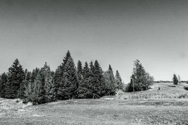 Ağaçlarla dolu bir tarlası ve dağları olan güzel bir manzara.