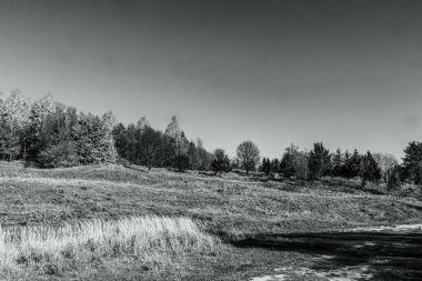 Dağlardaki ormanın güzel manzarasının siyah beyaz fotoğrafı.