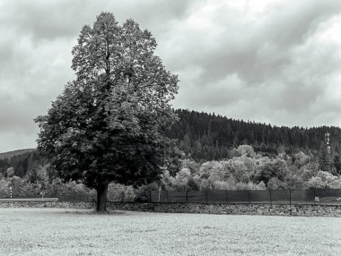 Dağların güzel manzarası