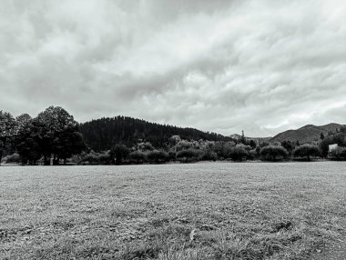 black and white photo of mountain road in the forest
