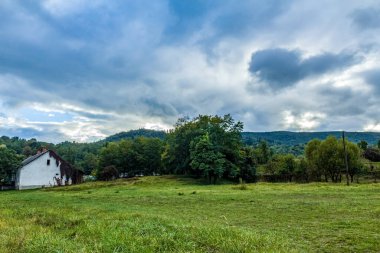 Kırsal alanın güzel manzarası.