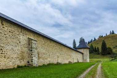 Ormandaki eski taş ev.