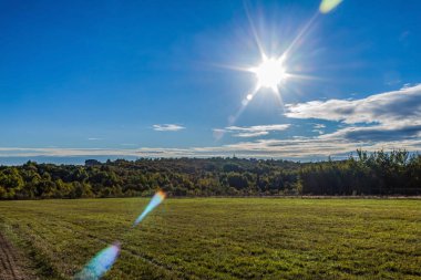 Arka planda mavi gökyüzü olan yeşil bir alan