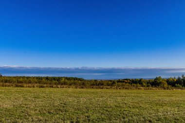 Sonbahar tarlası, orman ve ağaçlar