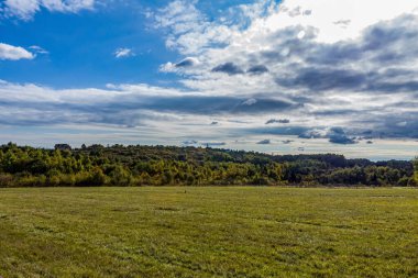 Sonbahar manzarası, buğday tarlası ve bulutlu bir gökyüzü, arka planda bulutlar, Letonya