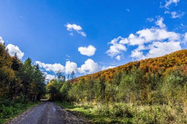 Bir dağ yolunda sonbahar