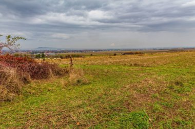 Friuli Venezia Giulia 'nın İtalya kırsalında sonbahar.