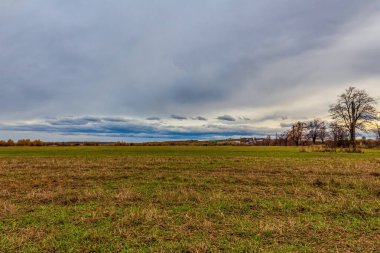 Peyzaj, Orman, Karpatlar, Doğa Fotoğrafları - Avrupa, Doğu Avrupa