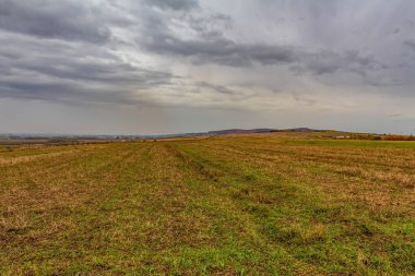 Çimen tarlası ve bulutlu gökyüzü olan güzel bir manzara.