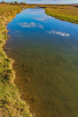 Küçük yeşil tarlası olan küçük bir nehir.