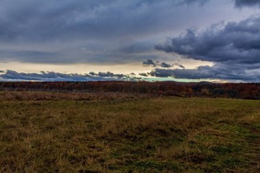 Renkli bir tarlanın geniş açılı görüntüsü güzel bulutlu bir gökyüzü.