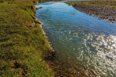 Nehir ormandan akıyor.